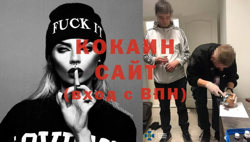 Cocaine FishScale  купить наркотики цена  Агрыз 